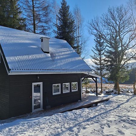 Domek Dorota Z Widokiem Na Gory Lasowka 5Km Do Zieleniec Ski Arena Екстериор снимка